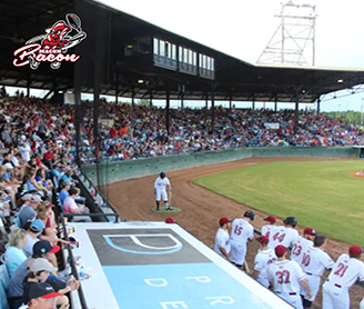 Minor League Game: Macon Bacon